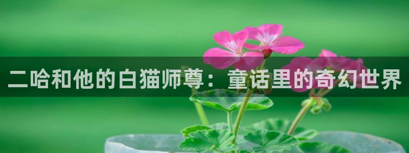 香蕉漫画在线阅读页面免费漫画
