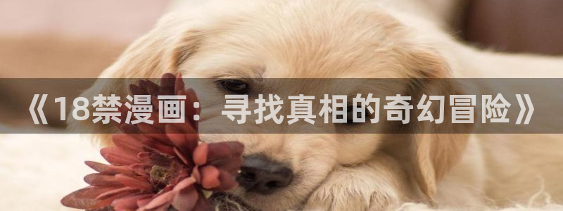 香蕉漫画黄漫免费网站