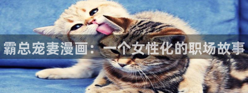 香蕉漫画sss：霸总宠妻漫画：一个女性化的职场故事