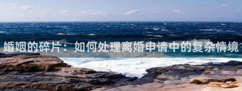 香蕉色漫：婚姻的碎片：如何处理离婚申请中的复杂情境
