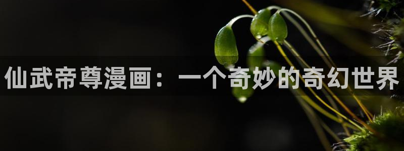 火爆香蕉漫画未删减：仙武帝尊漫画：一个奇妙的奇幻世界